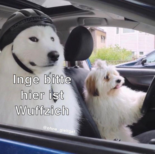 DIE HUNTE!!!111einself