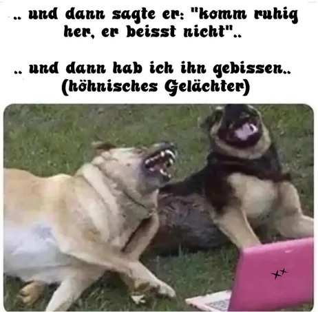 DIE HUNTE!!!111einself