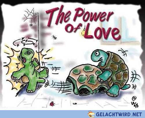 Die Kraft der Liebe