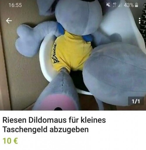 Die oder keine!