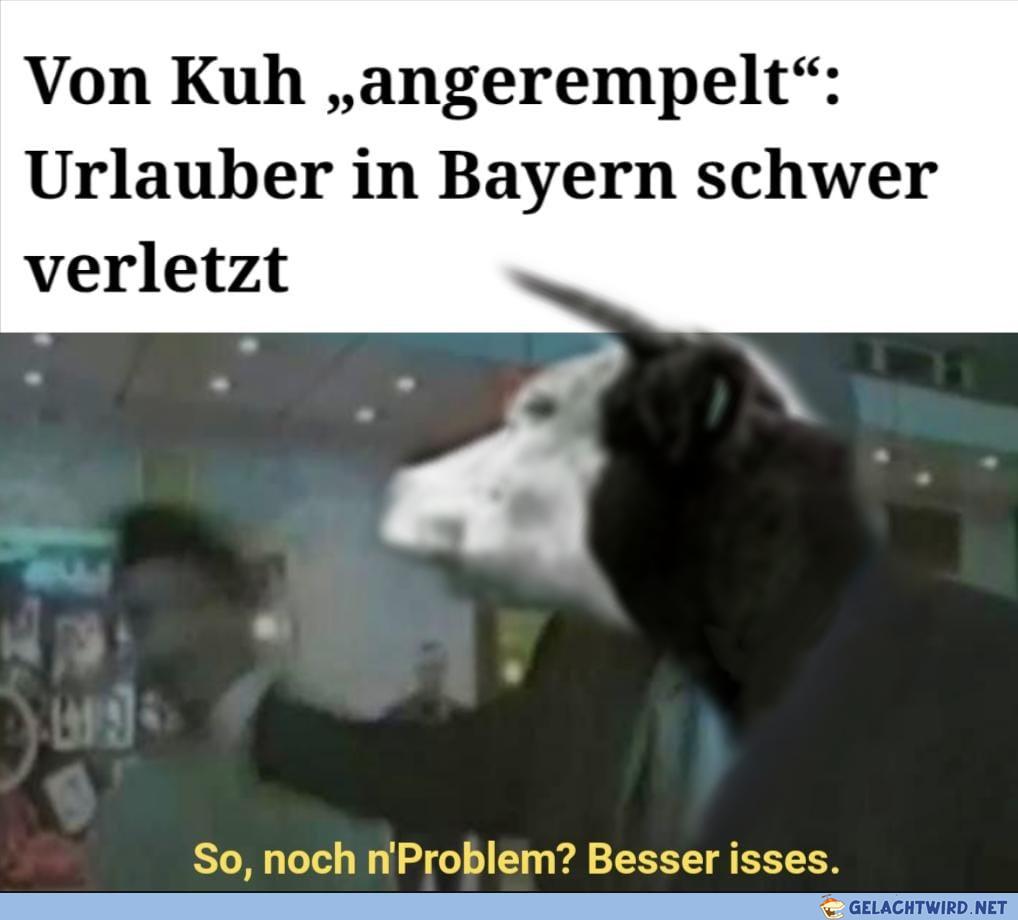 Die q