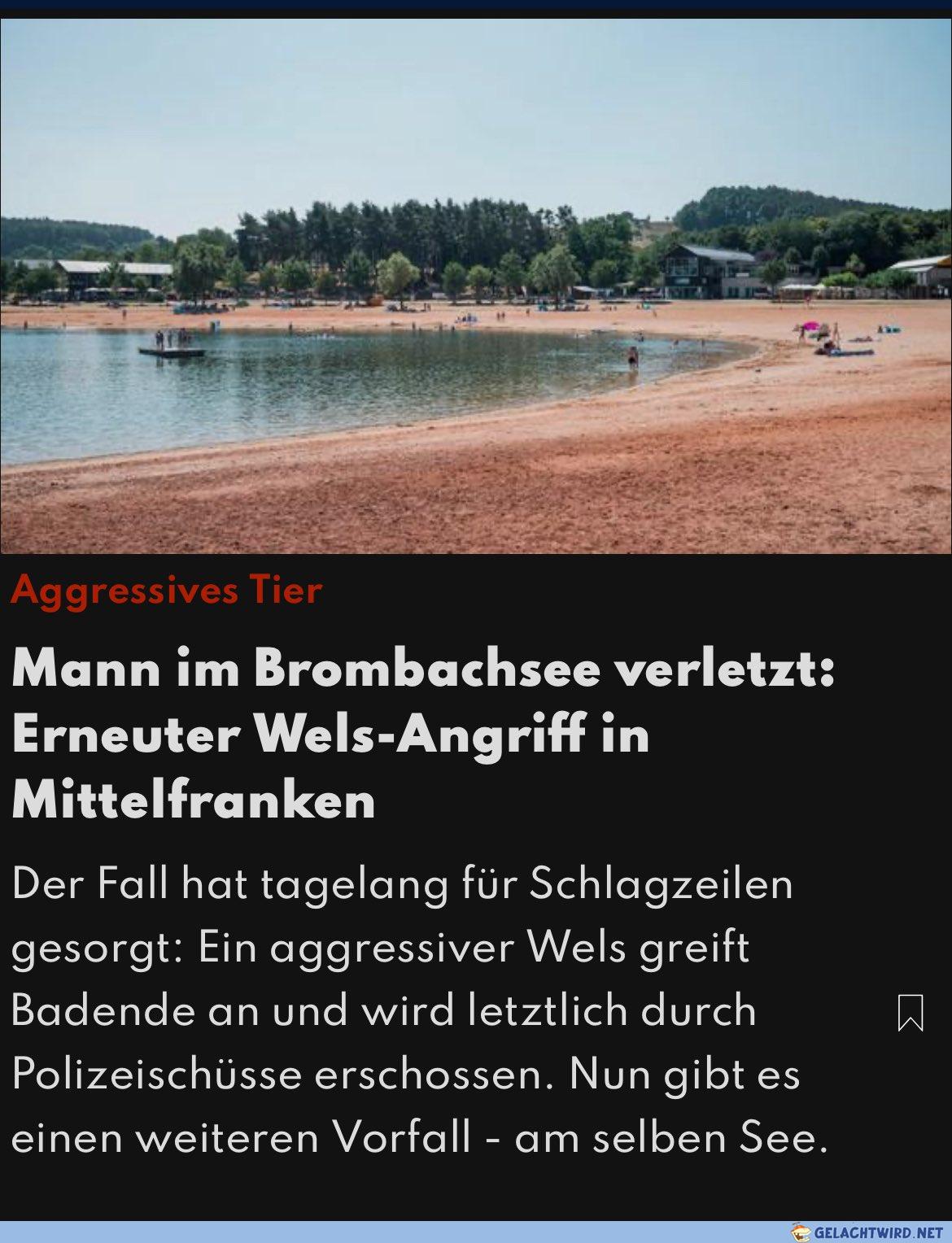 Die Rache des Bruders