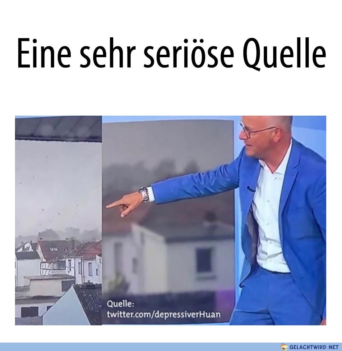 die seriöse Wualle