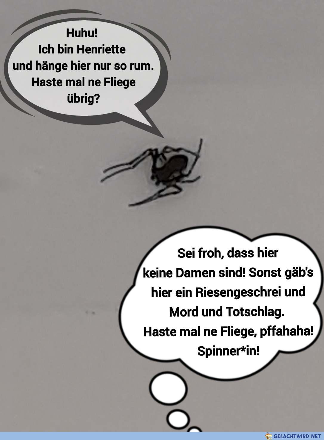 die spinnen doch