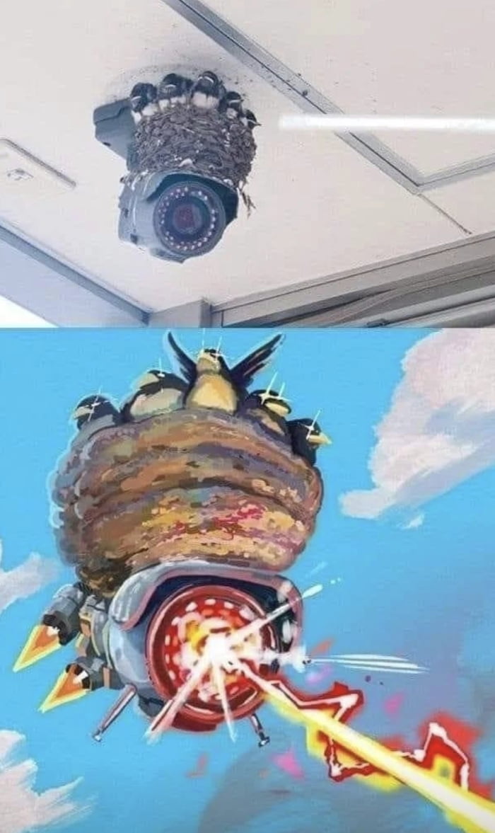 Die Stasivögel