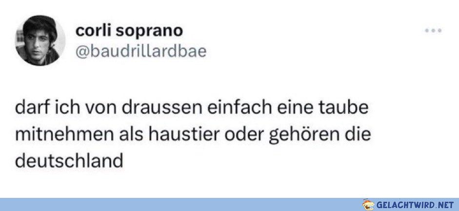 Die wichtigen Fragen