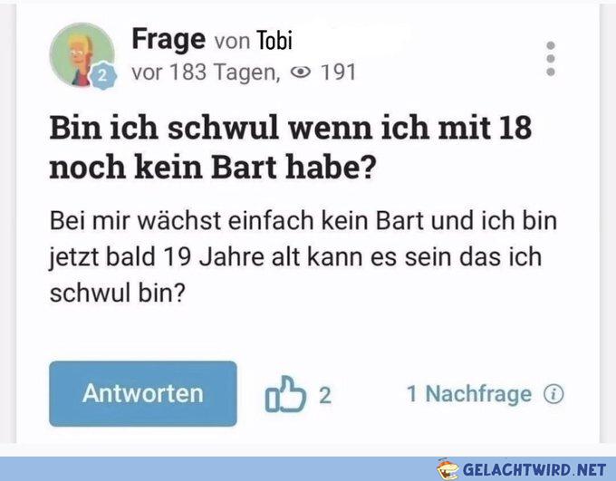 Diese Fragen