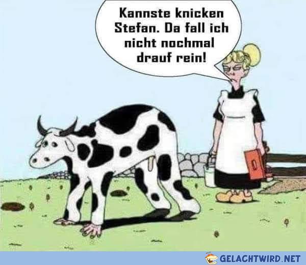 Dieser Stefan