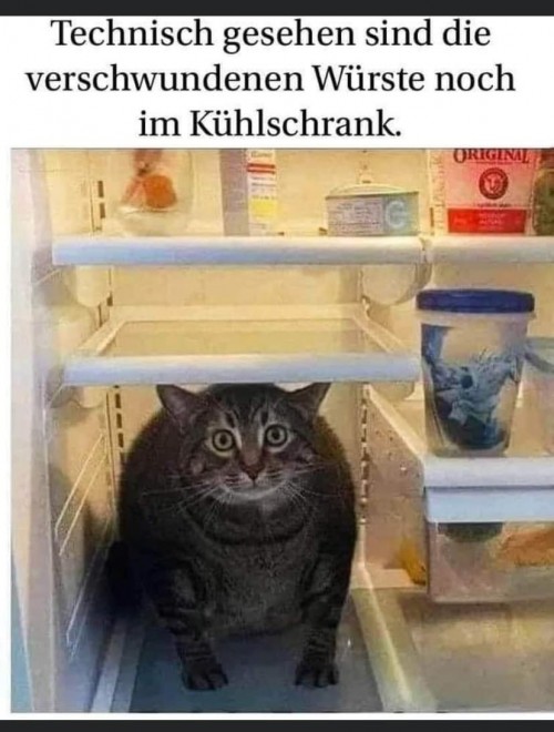 Digge Miez