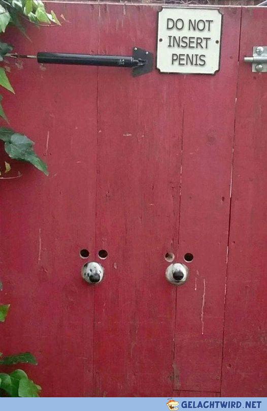 Do not insert