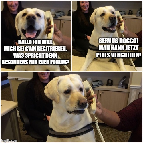 doggo erkundigt sich