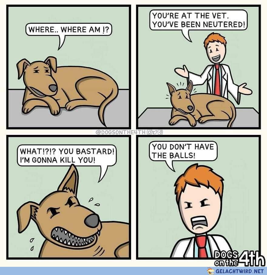 Dont have the balls