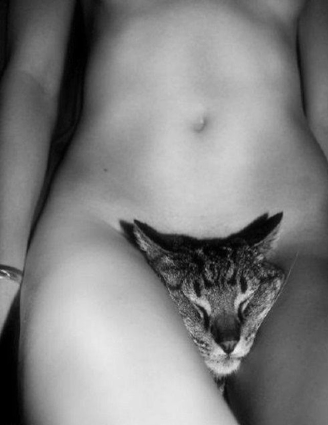 Doppelte Portion Pussy