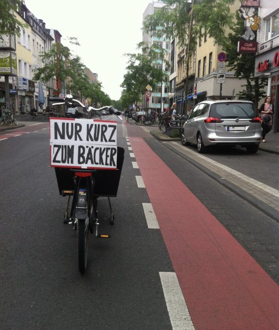 Dumme Sau!
