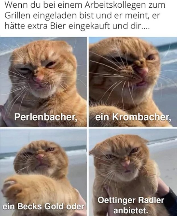 Dummer Wichser
