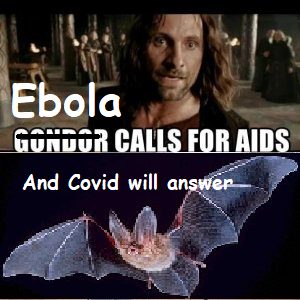 ehds.png