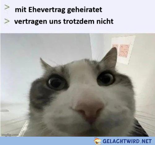 Ehevertrag.jpg