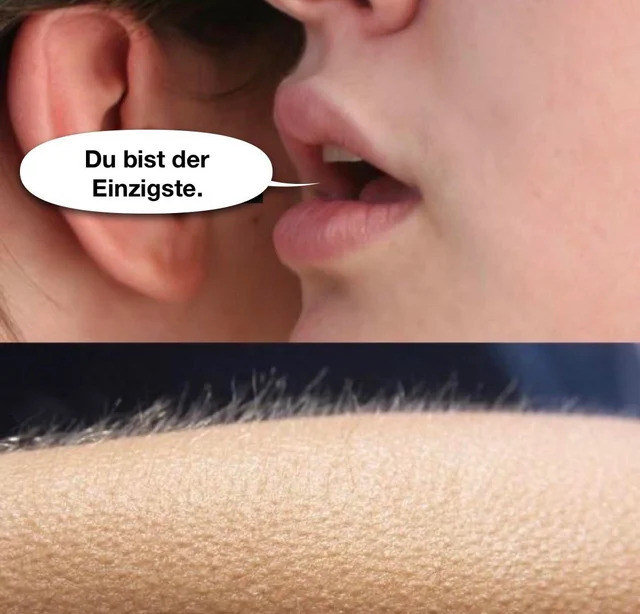 EINZIGE!