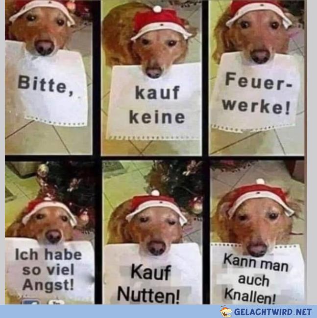 Empfehlung des Huntes