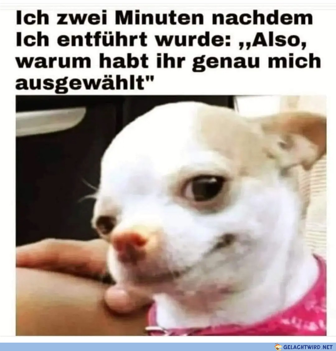 Entführter Hunt