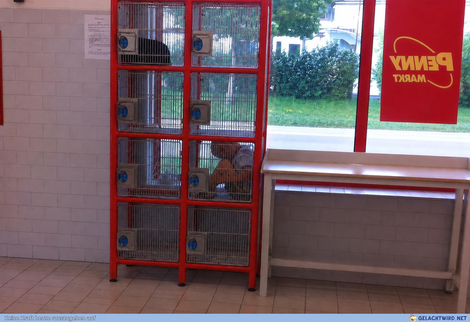 Erstmal zu Penny
