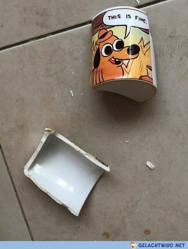 Es war Schicksal