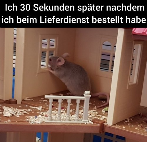 Essen wo?