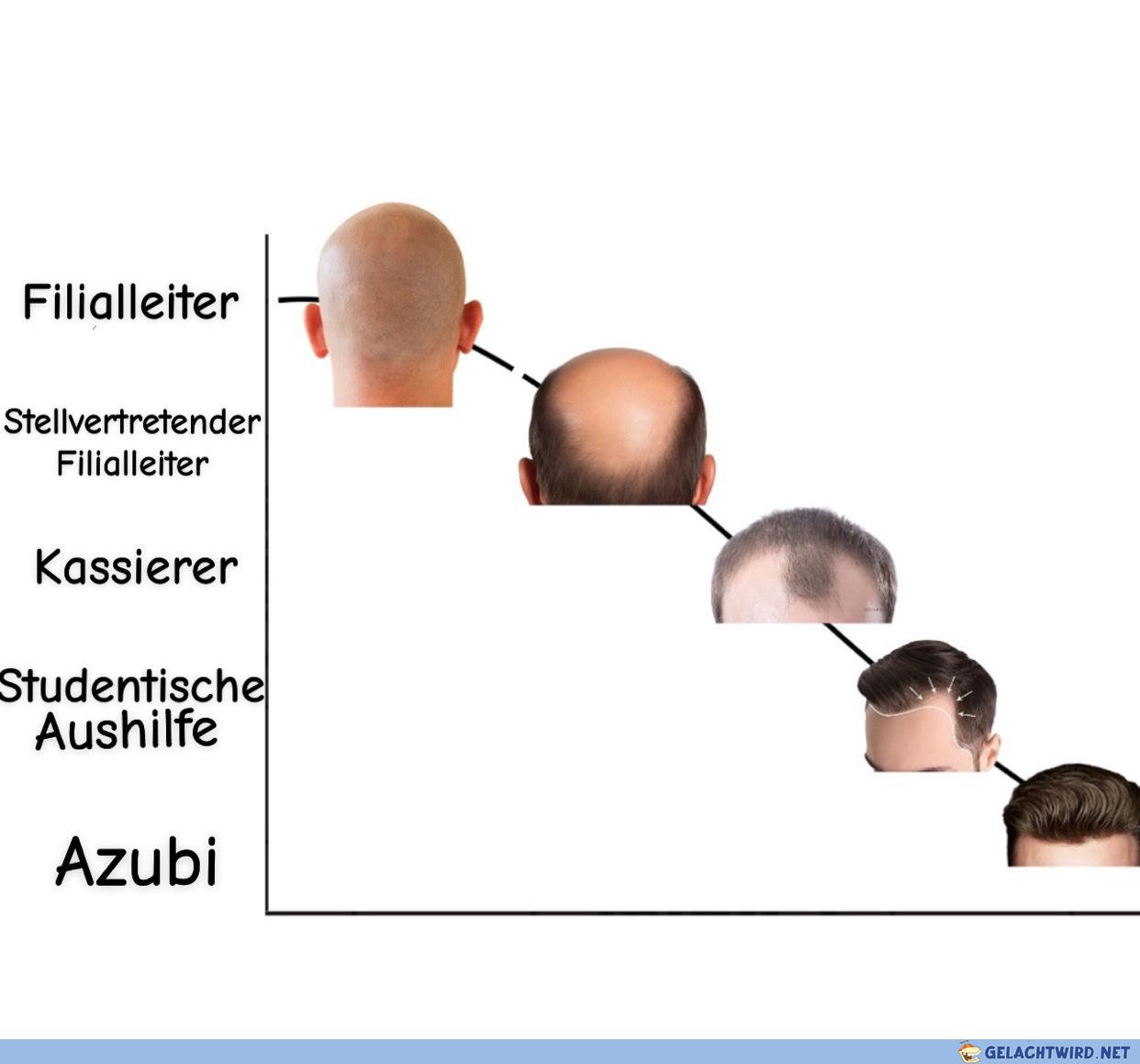 Evolution des Menschen