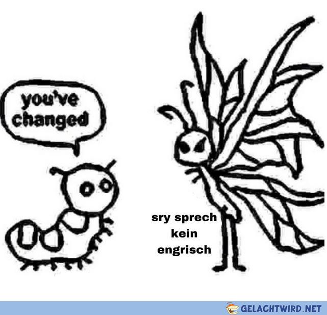 evolve