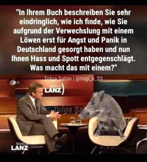 Ey hallo ein Schwoin
