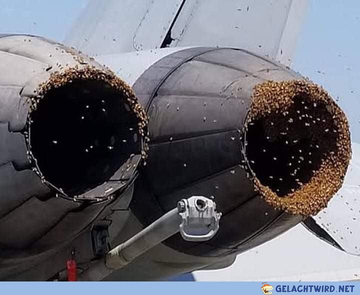 F18 Hornet