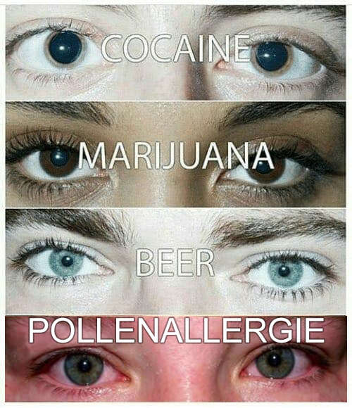 FAK ALTER