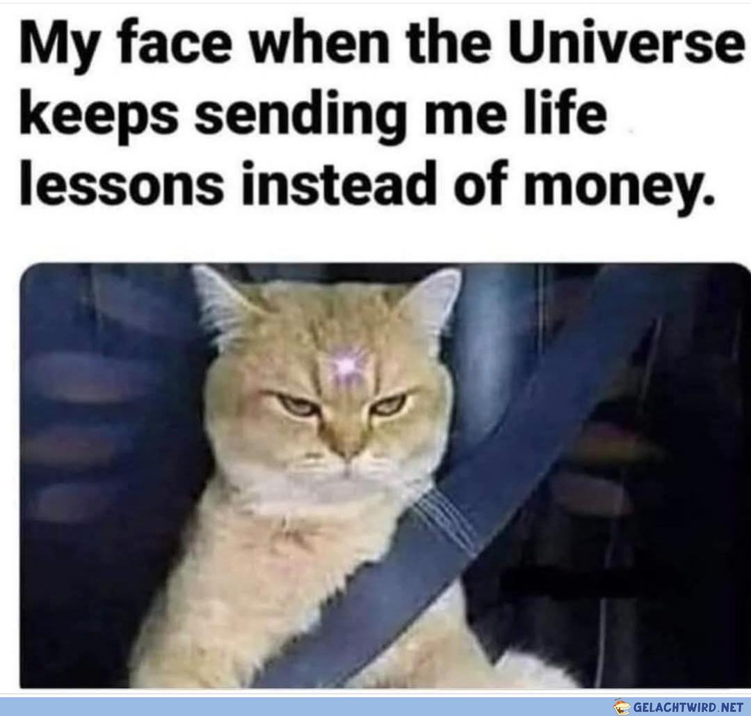 Fick dich Universum