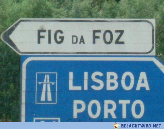 figdafoz.jpg