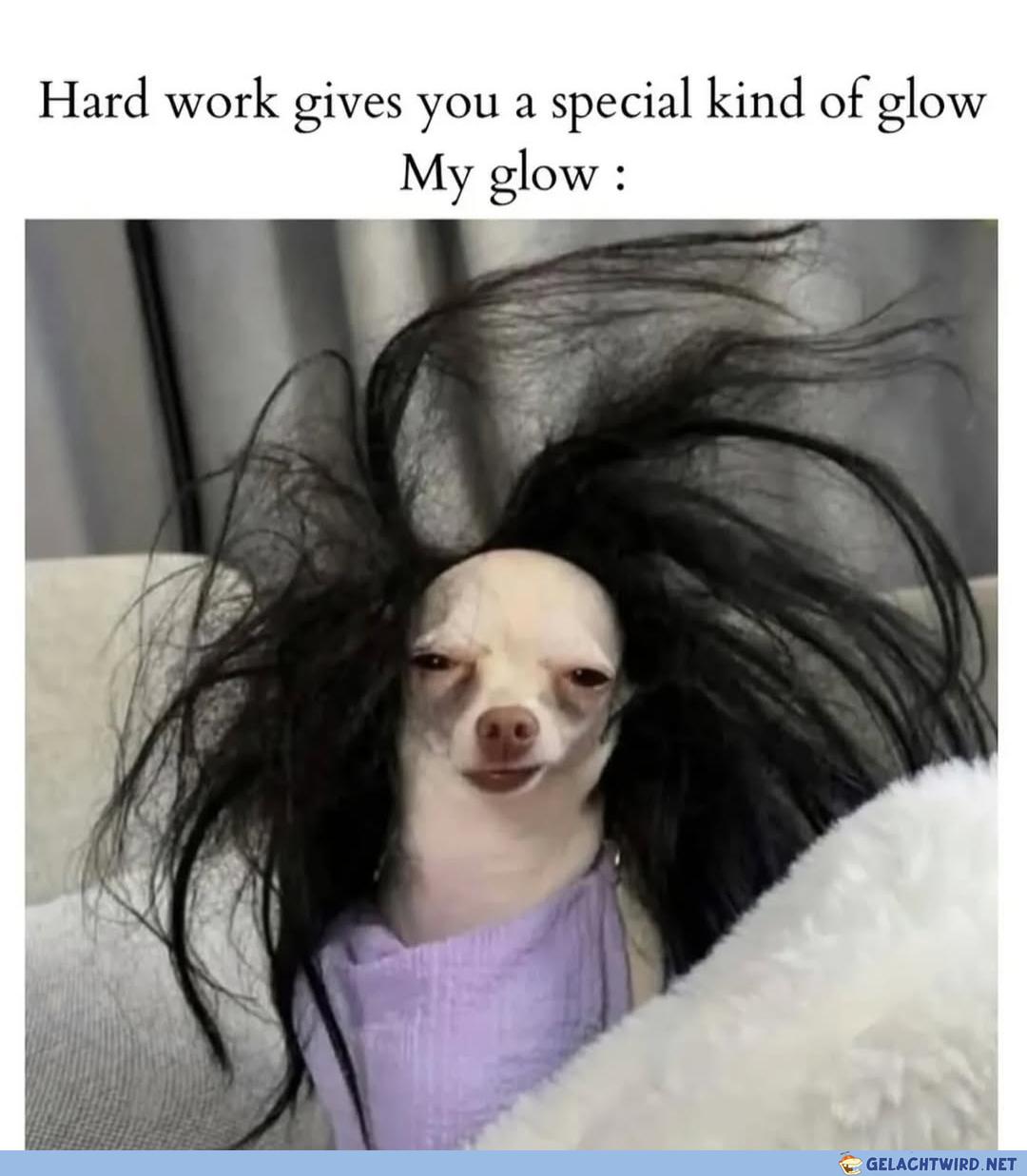 Flachwixer