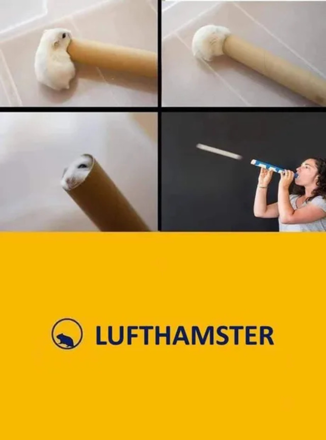 Flieg, kleiner Hamster!