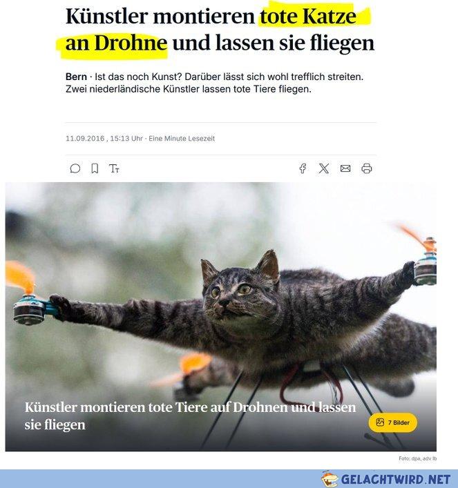 Flieg und sieg
