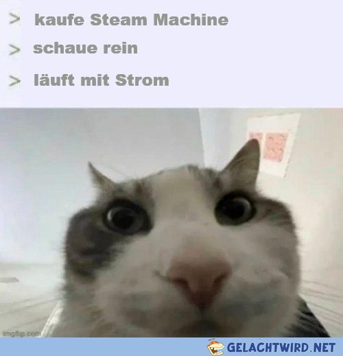 Fol der Betrug