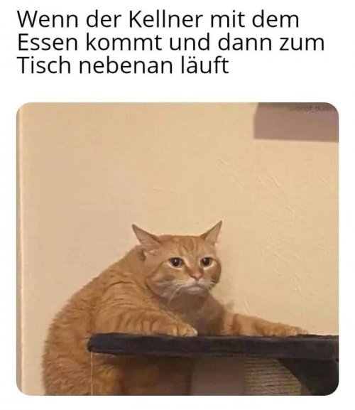 Frechheit