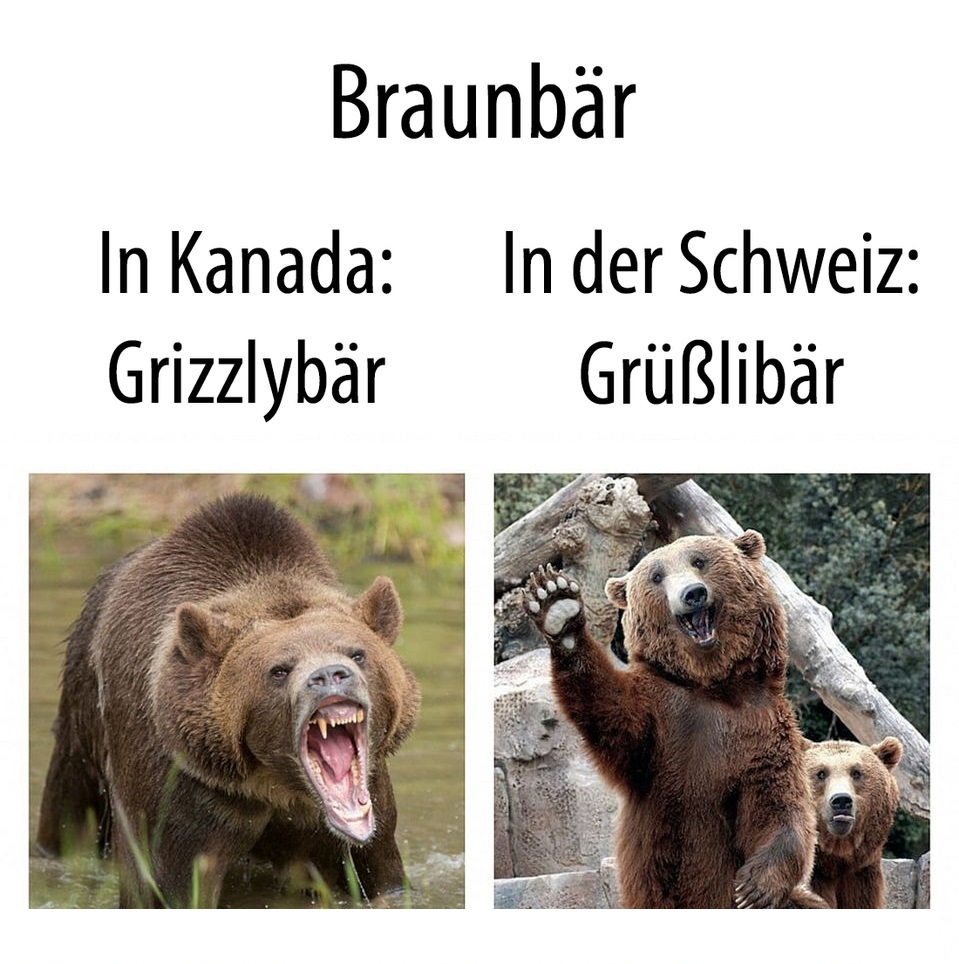 Freundliche Schwitza