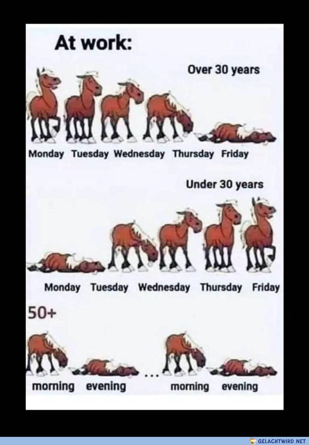 Fridays