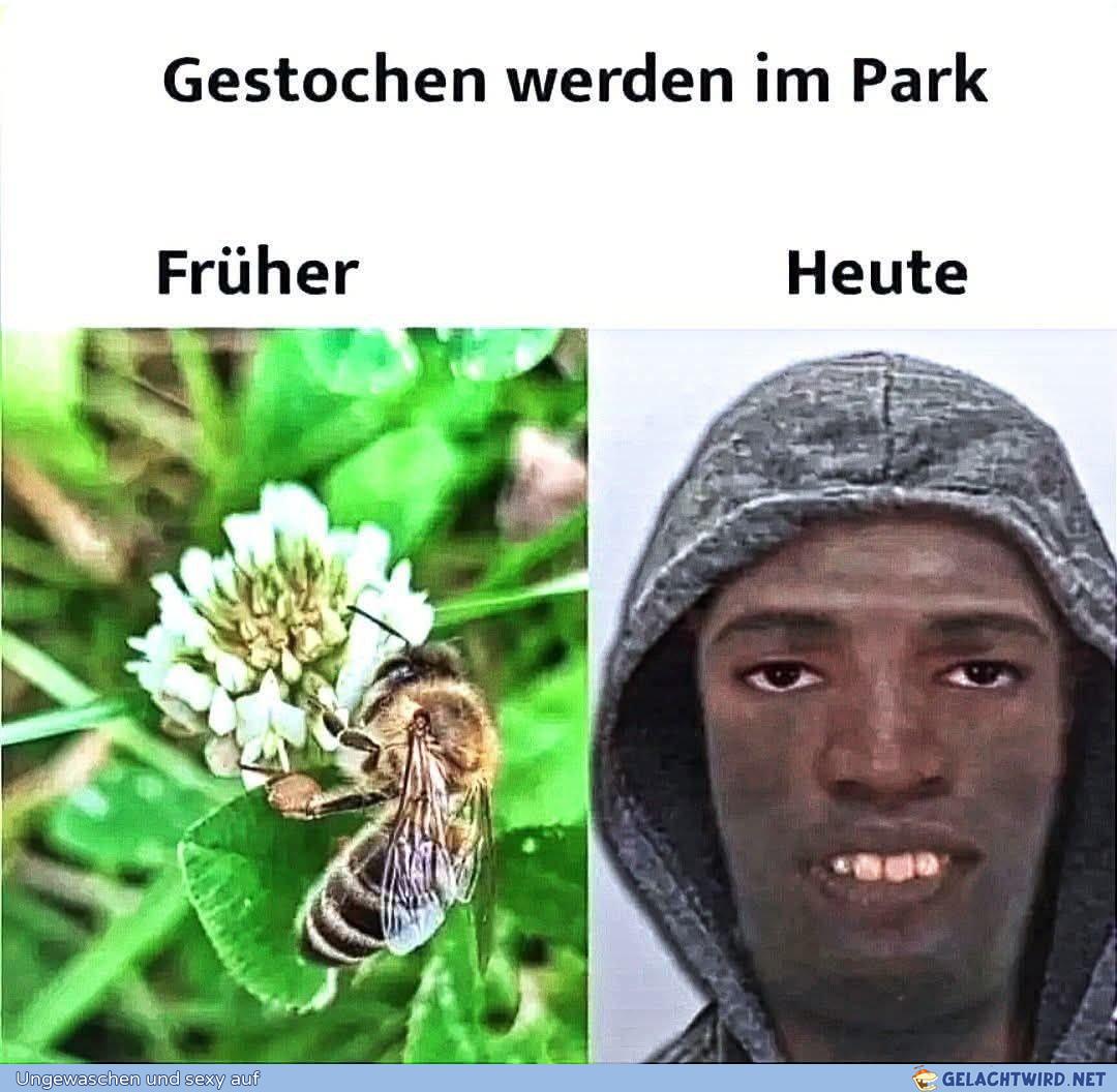 Früher und heute