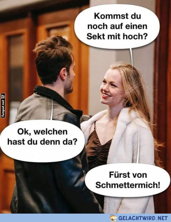 Fürst von Schmettermich