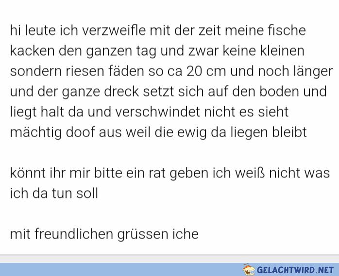Füsche