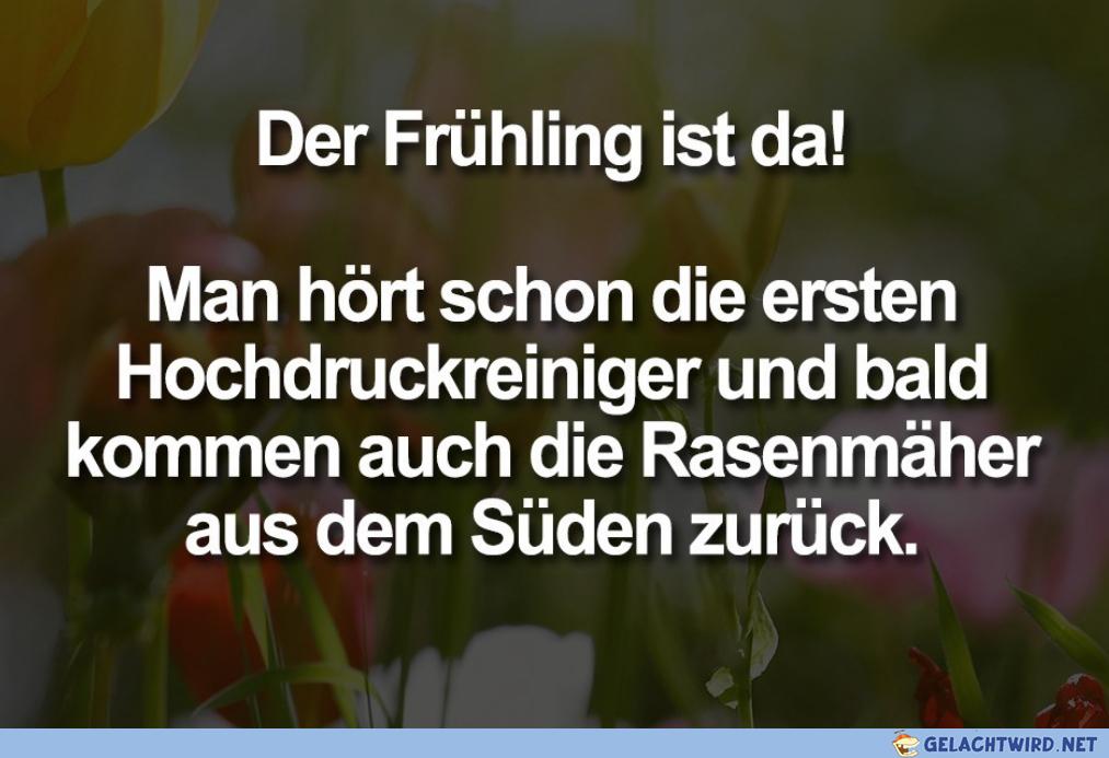 Gar kein Bock