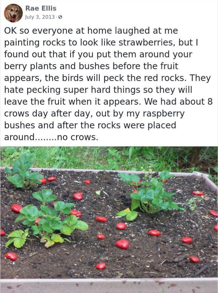 Gartentricks