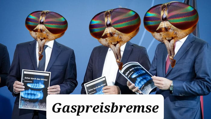 Gaspreisbremse