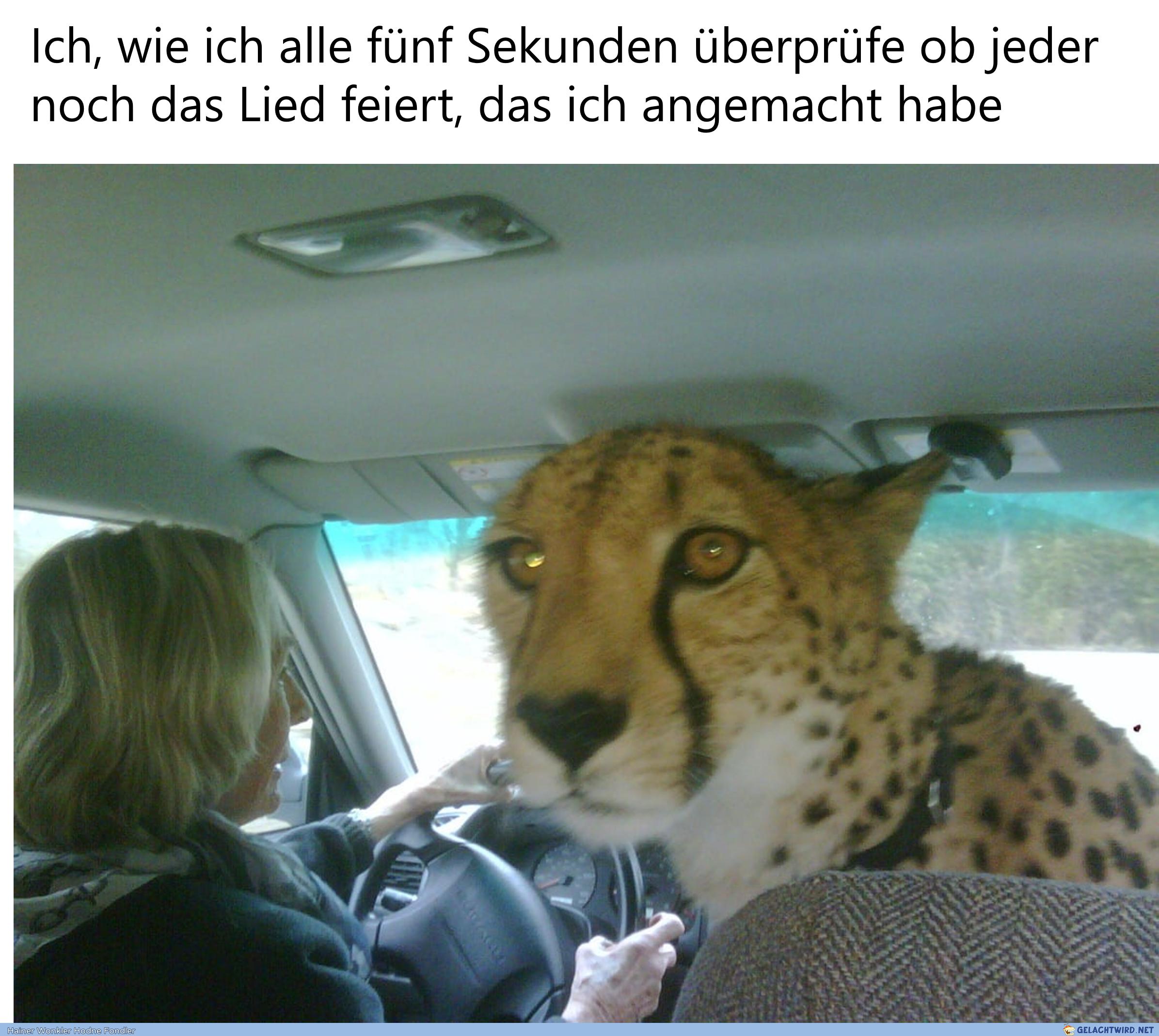 Gefällts euch?