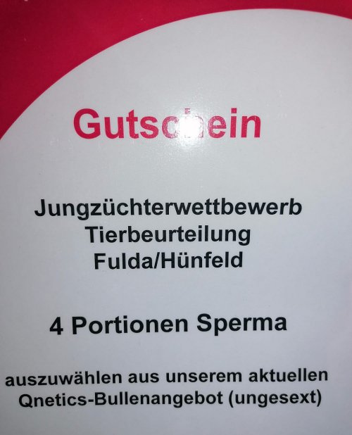 Geil
