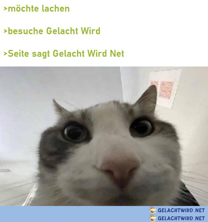 Gelacht Wird Net